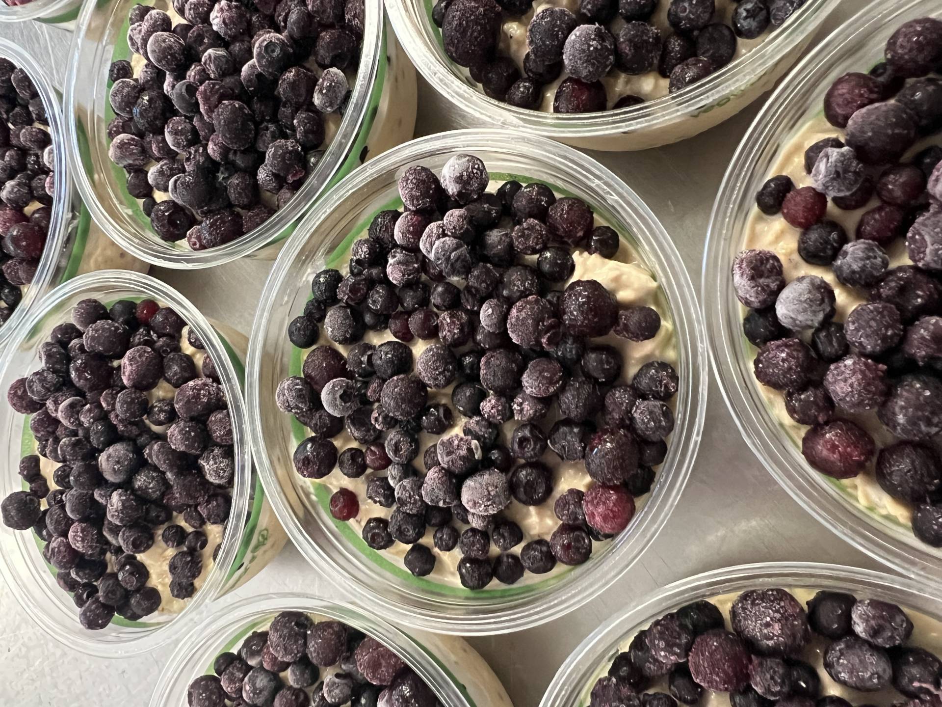 Dairy Free Coconut Blueberry Overnight Oats w. Pea Protein