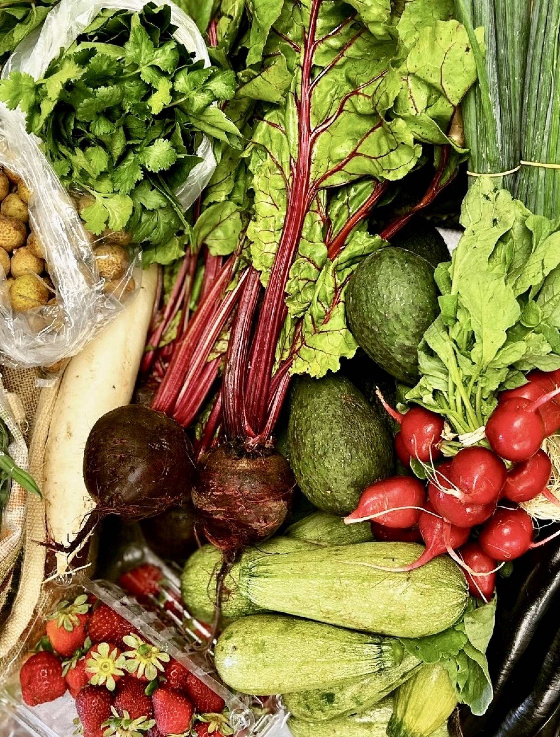 Why Eating Locally Can Transform Your Health and the Health of the Planet